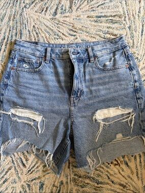 American Eagle Outfitters Light Blue Distressed Denim Women's Shorts